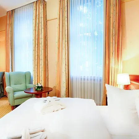Heine Wellness & 4*