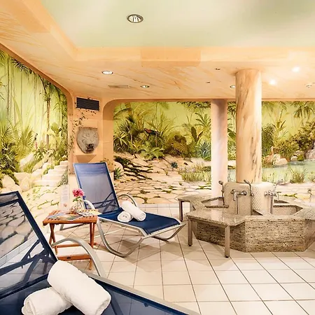 Heine Wellness & 4*