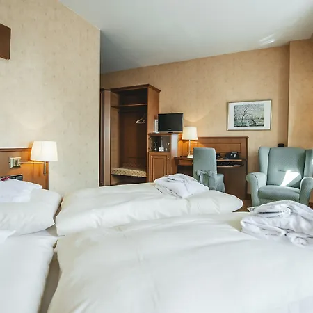 Heine Wellness & ホテル 4*