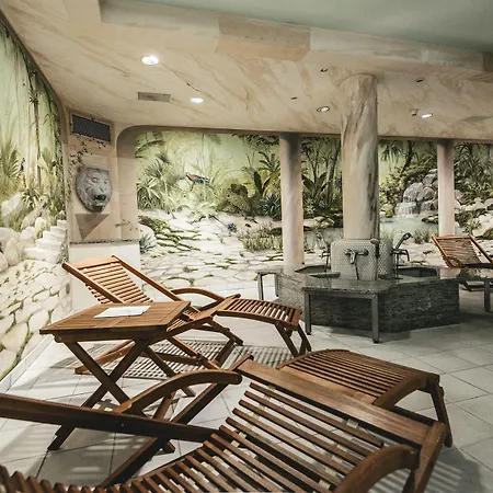 Heine Wellness & ホテル 4*