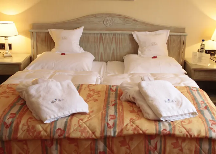 Heine Wellness&spa Hotel