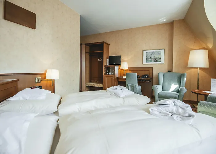 Heine Wellness&spa Hotel 4*